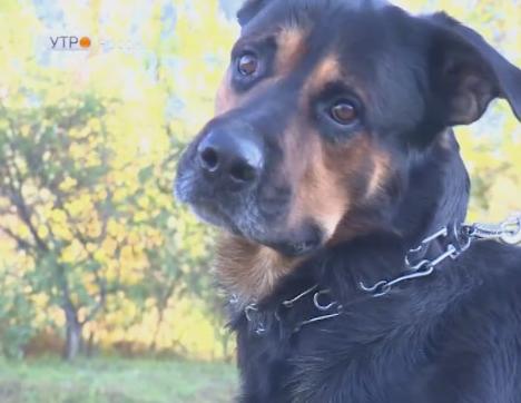 Новый день 03.10.2018