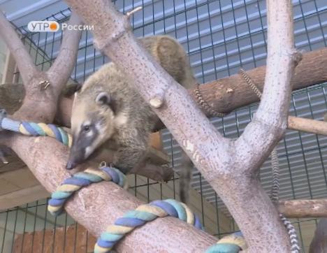 Новый день 04.12.2018