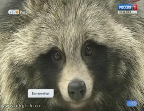 Новый день 31.01.2019