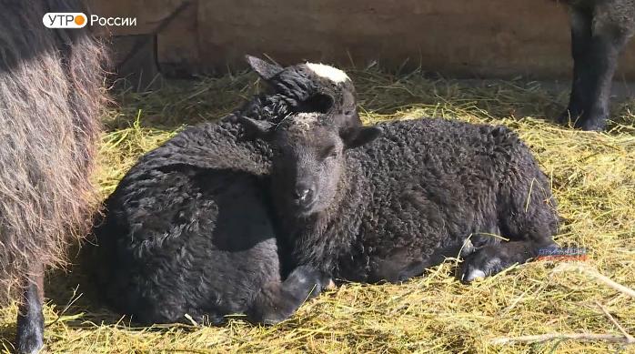 Новый день 29.03.2019