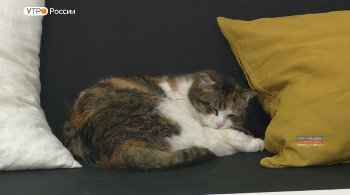 Новый день 09.04.2019