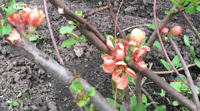 Новый день 18.07.2019