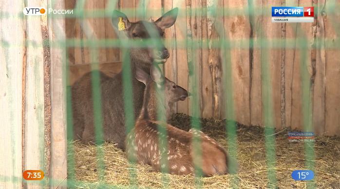 Новый день 14.08.2019