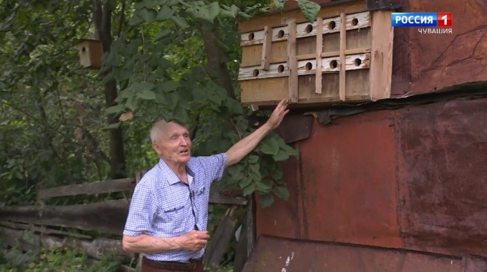 Военное детство. Выпуск от 12.08.2020