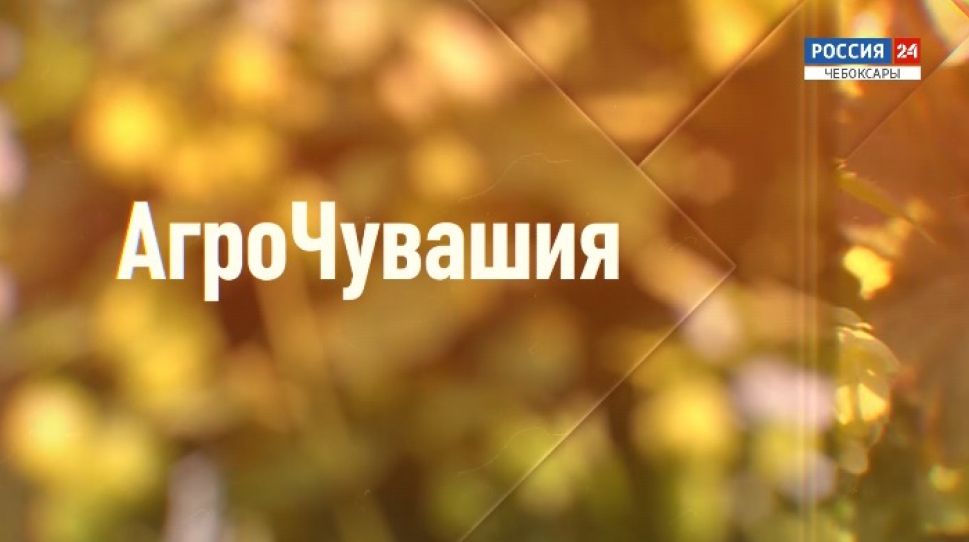 АгроЧувашия. Выпуск от 25.09.2020