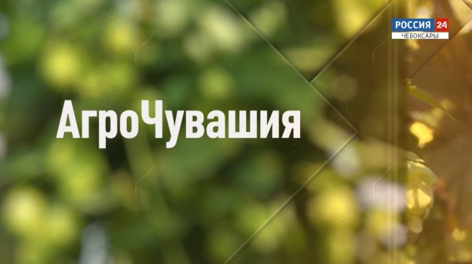 АгроЧувашия. Выпуск от 06.12.2020