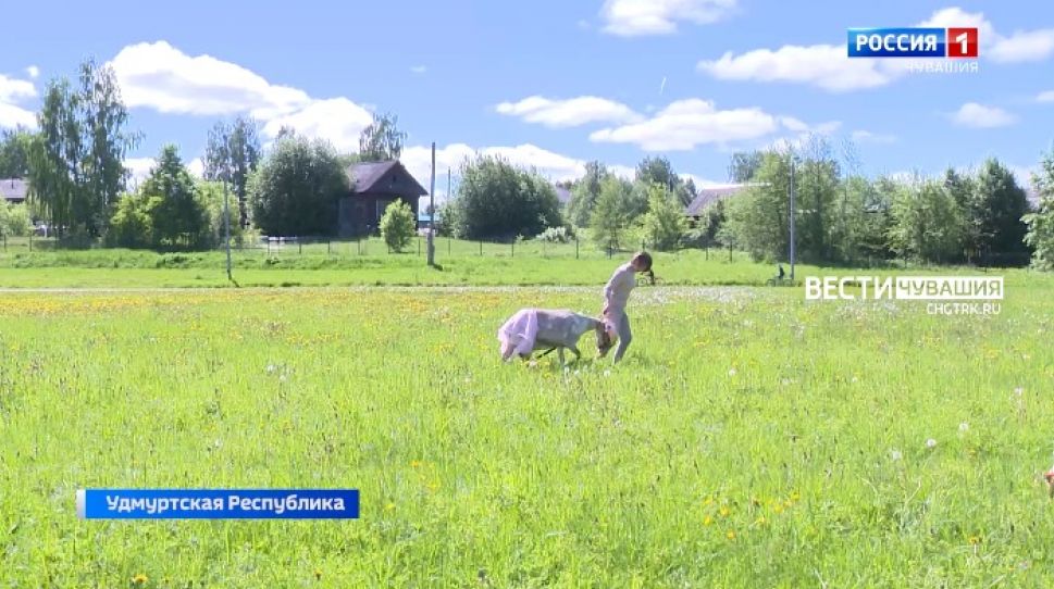 Вести ПФО. Выпуск от 04.06.2021