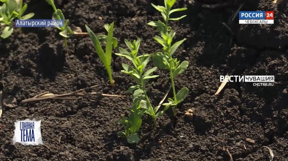 Главная тема. Выпуск от 23.07.2021