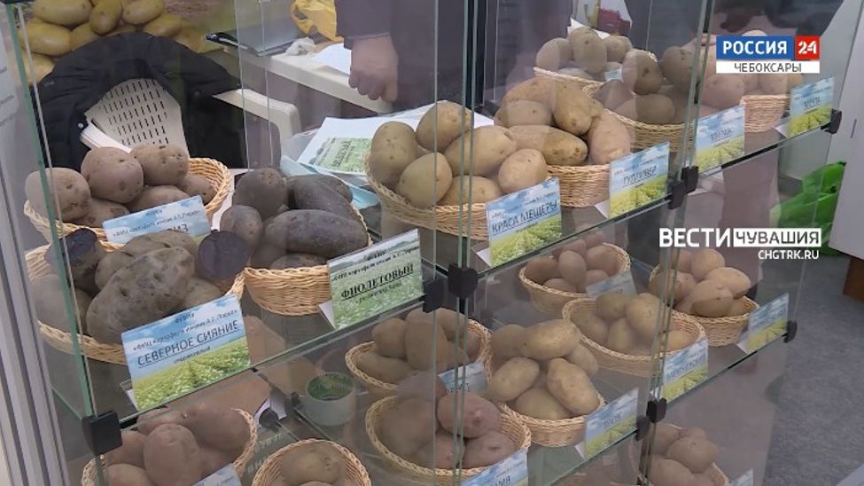 Неделя в городе. Выпуск от 06.03.2022