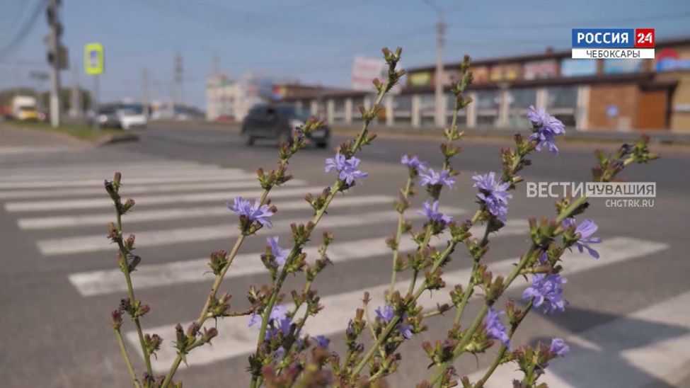 Неделя в городе. Выпуск от 16.07.2023