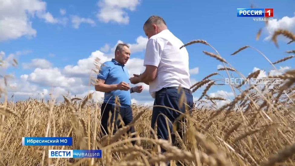 Утро Вести. Чувашия. Выпуск от 04.08.2023