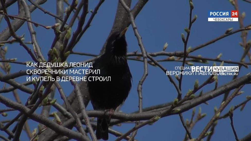 Специальный репортаж.  "Как дедушка Леонид скворечники мастерил и купель в деревне строил". Выпуск от 06.10.2023