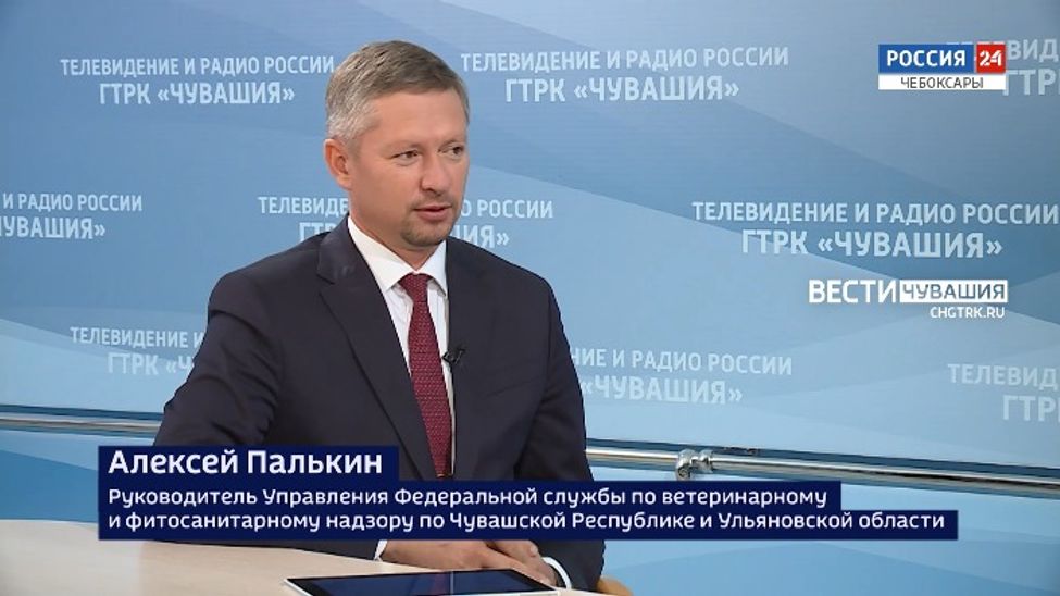 Вести. Интервью. Алексей Палькин. Выпуск от 17.10.2023