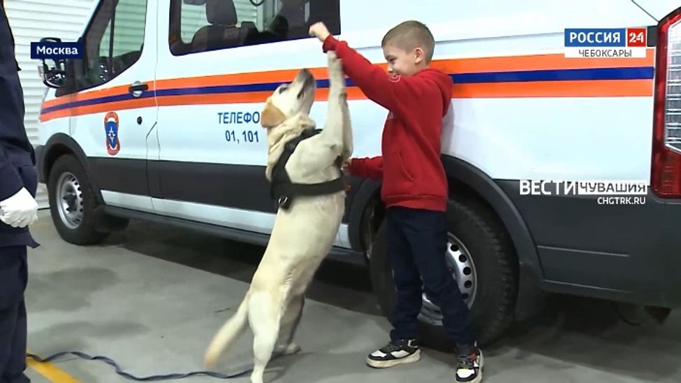 Неделя в городе. Выпуск от 05.11.2023