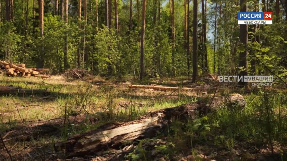 Вести. Экология. Эфир от 27.06.2024