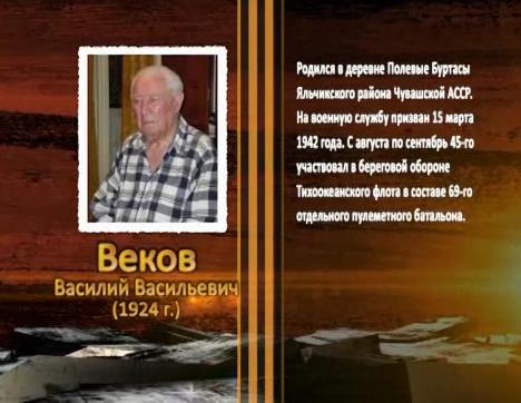 Победа живет в поколениях. Веков Василий Васильевич