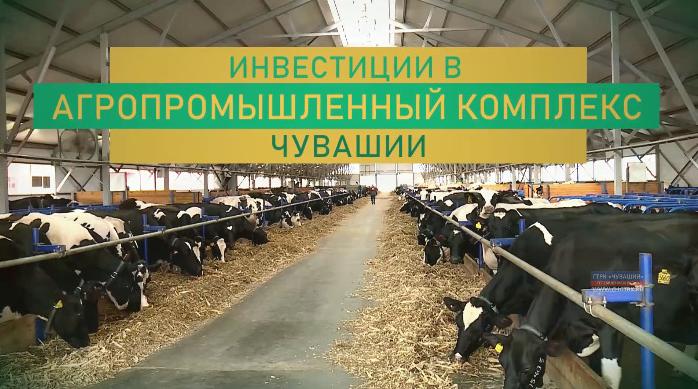 Инвестиции в агропромышленный комплекс Чувашии