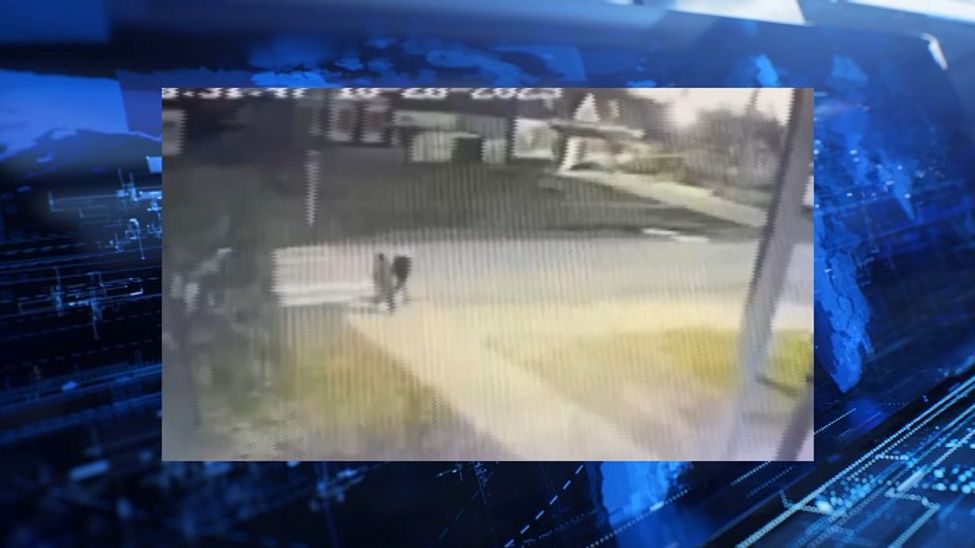 Ушло в суд дело пьяного лихача, насмерть сбившего бабушку и внучку в Алатыре 