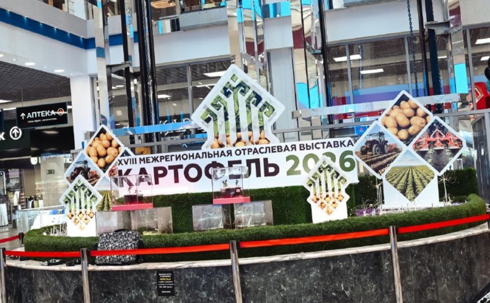 За первый день на выставке «Картофель – 2026» продали 33 тонны семенного картофеля