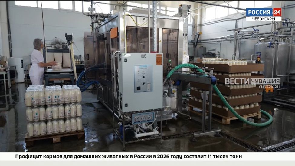 В Чувашии готовятся к запуску выплат в цифровых рублях